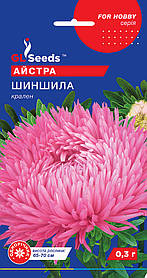 Насіння Астра Шиншила (0,3 г), For Hobby, TM GL Seeds