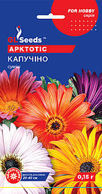 Насіння Арктотису Капучино (0,15 г), For Hobby, TM GL Seeds