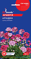 Семена Армерии Ариадна смесь (0,1 г), For Hobby, TM GL Seeds