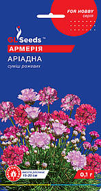 Насіння Армерії Аріадна суміш (0,1 г), For Hobby, TM GL Seeds