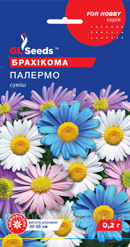 Насіння Брахікоми Палермо (0,2 г), For Hobby, TM GL Seeds, фото 1