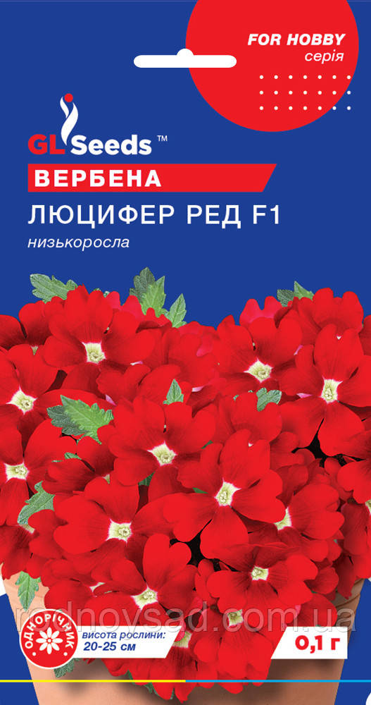 Вербена Люцифер насіння (0,1 г) (Verbena hybryda nana compacta), For Hobby, TM GL Seeds, фото 1