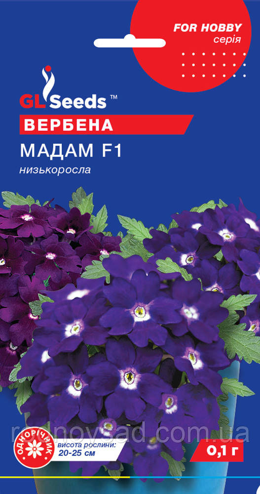 Вербени Мадам насіння (0,1 г) (Verbena hybryda nana compacta), For Hobby, TM GL Seeds