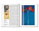 Книга Mondrian - Taschen, фото 4