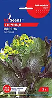 Насіння Гiрчиці салатної Ядрена, Гiрчиця салатна листова насіння