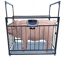 Ваги для свиней 300 кг (1000х2000 мм) тварин з огорожею, масового зважування, від виробника Горизонт