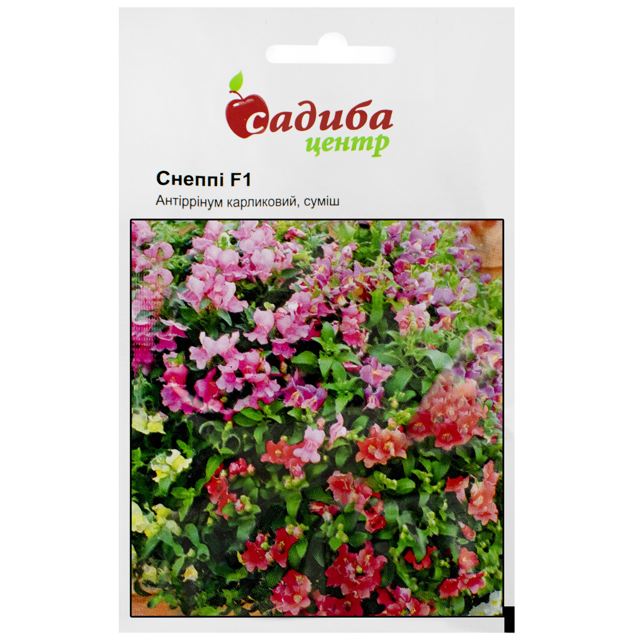 Ротики (Антирінум) Снепі F1 суміш 20 шт Ham Genetics, фото 1