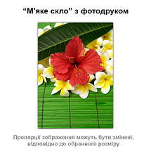 Покриття для столу, м'яке скло з фотодруком, Квіти, 1,2 мм (600х1000), фото 2