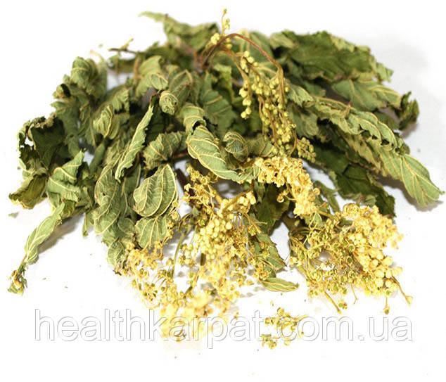 Лабазник Таволга трава  50 грамм, фото 1