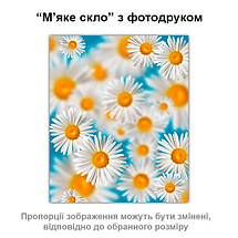 Покриття для столу, м'яке скло з фотодруком, Ромашки 60 х 100 см (1,2 мм), фото 3