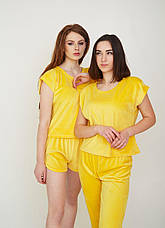 Костюм трійка з плюшевого велюру футболка шорти штани р.S,M,L,XL, фото 3