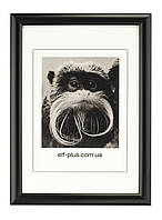 Рамка А3 30х42 з пластику - Чорна - з склом або з склопластиком