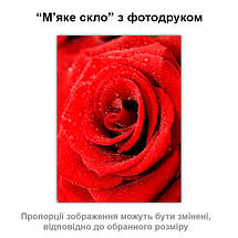 Покриття для столу, м'яке скло з фотодруком, Троянда 60 х 100 см (1,2 мм), фото 2