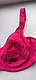 Бюстгальтер, ліф 85-100 D малиновий ESMARA Lingerie м'яка чашка - фото 2 - id-p1359297202