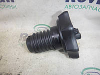 Крепление запаски (Седан) Volkswagen JETTA 5 2005-2010 (Фольксваген Джета 5), 1K0803899D (БУ-240024)