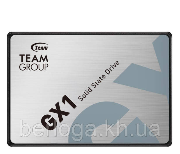 SSD- накопичувач Team Group GX1 240 GB