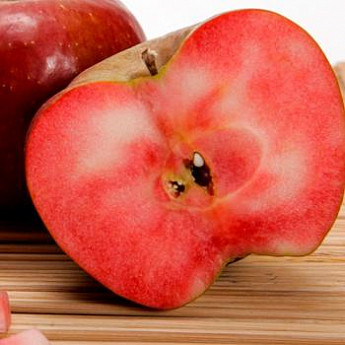 Яблуня почервоніла "Ред Сан" (Red Sun) (річний сорт, середній термін дозрівання), фото 1