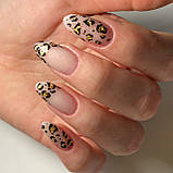 Полігель для нарощування Magic Girl PolyGel Shine №1 пудровий 30мл, фото 2