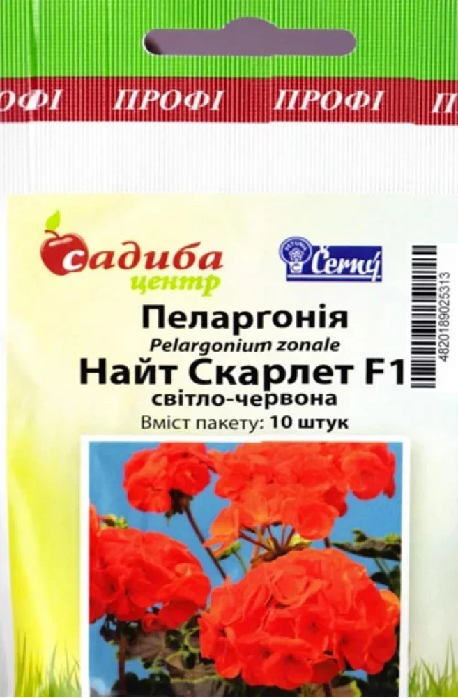 Пеларгонія  Найт Скарлет світло-червона F1 10 шт Černý Seed, Чеська Республіка
