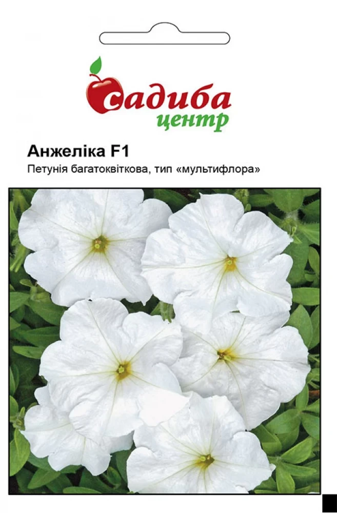 Петунія Анжеліка F1 10 гранул, Černý Seed, Чеська Республіка