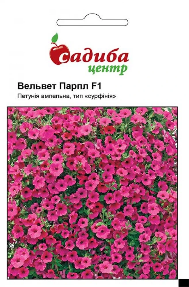 Петунія Вельвет Парпл F1, 10 гранул, Černý Seed, Чеська Республіка