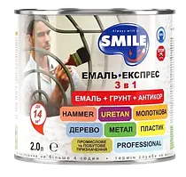 Емаль Smile Емаль-експрес 3в1 Молтокова срібляста 2л