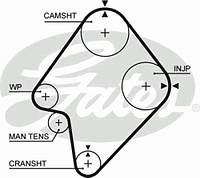 Ремінь зубчастий (довж. 60-150) GATES 5300XSASIA MOTORS ROCSTA, ASIA MOTORS ROCSTA, KIA BESTA фургон, MAZDA