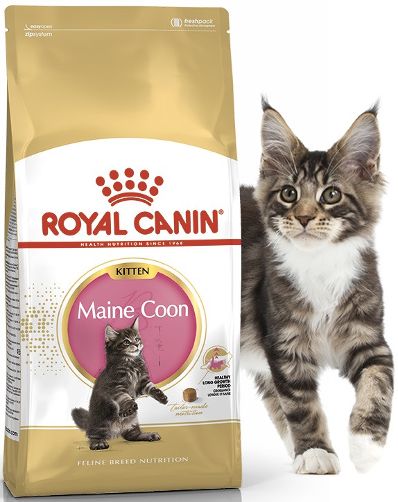 Royal Canin Maine Coon Kitten Роял канін сухий корм для кошенят породи мейн-кун 2 кг, фото 1