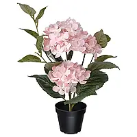 FEJKA Искусственное растение в горшке, для дома/для улицы/Гортензия светло-розовая, 12 см