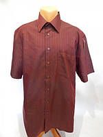 157РК Мужская рубашка с коротким рукавом INFINITY (только в указанном размере, только 1 шт)