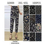 Жіночі гамаші "Ластівка" (3-6XL), фото 2