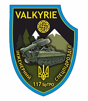 Шеврон VALKYRIE спецподразделение "117 ОБрТрО" Бригада терробороны Шевроны на заказ на липучке (AN-12-302-2)