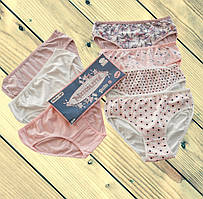 Набір жіночих трусиків 7 шт Nicoletta батальна серія  Розміри 2XL 3XL 4XL 5XL