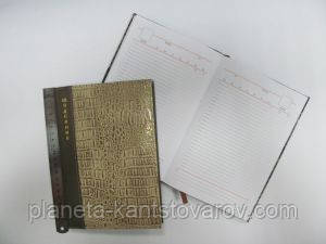 Щоденник недатований (A6) EA-1850-1-A6 "Шкіра срібло" в лінію