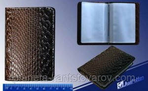 Візитниця-дисконтница вертикальна Y-7353-2 "Змія"