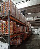 Насіння соняшнику ЛГ 5555 КЛ Під євро-лайтинг, фото 4