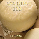 Закваска КАЧОТТУ ЧИЗПРО 100 (10 шт. Х 10л), фото 2