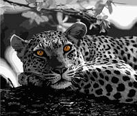 Набір для розпису по номерах Чорно-білий леопард Strateg розміром 40х50 см (GS051)