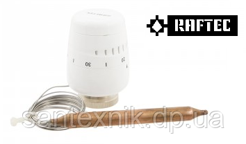 Термоголівка з виносним датчиком 30х1.5 RAFTEC