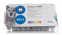 Нобивак DHPPi без раствор. (Nobivac DHPPi), Интервет, Нидерланды (1 мл 1 доза) без растворителя