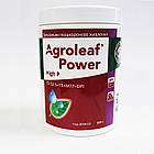 Добриво Agroleaf Power High P 12-52-5Te 800 гр
