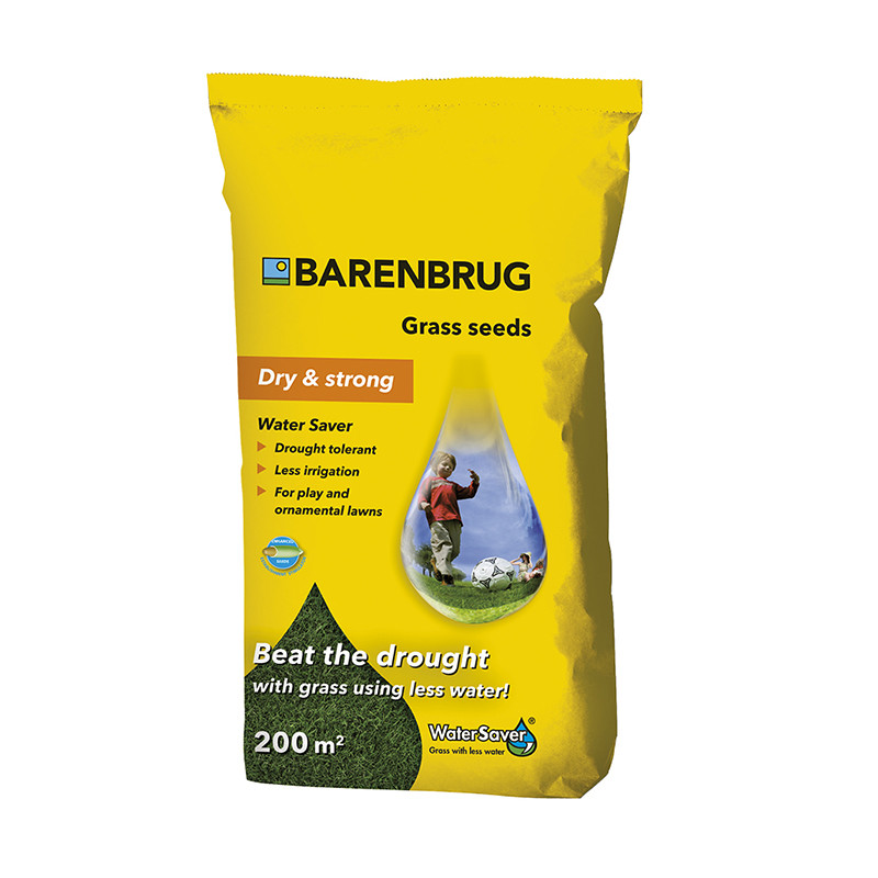 Насіння DryStrong Barenbrug 5kg, фото 1