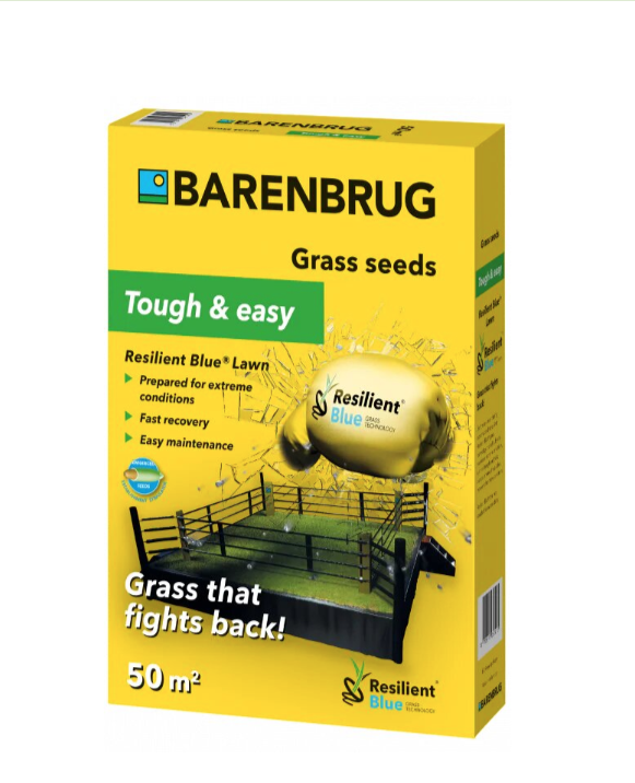 Насіння Resilient Blue Barenbrug 1kg, фото 1