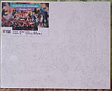 Картина за номерами Величний тигр Картини в цифрах на полотні Тварини Світ снів 40х50 Rainbow Art GX44818, фото 3