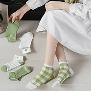 Жіночі короткі бавовняні шкарпетки Лайм Ласточка (спортивна резинка), фото 4