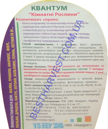 Квантум Кімнатні рослини 500 мл розпилювач оригінал, фото 3