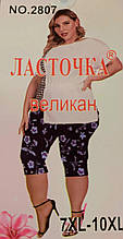 Жіночі бриджі "Ластівка" супербатал (7-10XL)