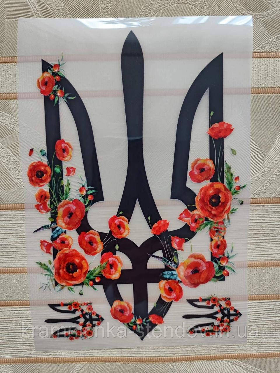 Термонаклейка на одяг