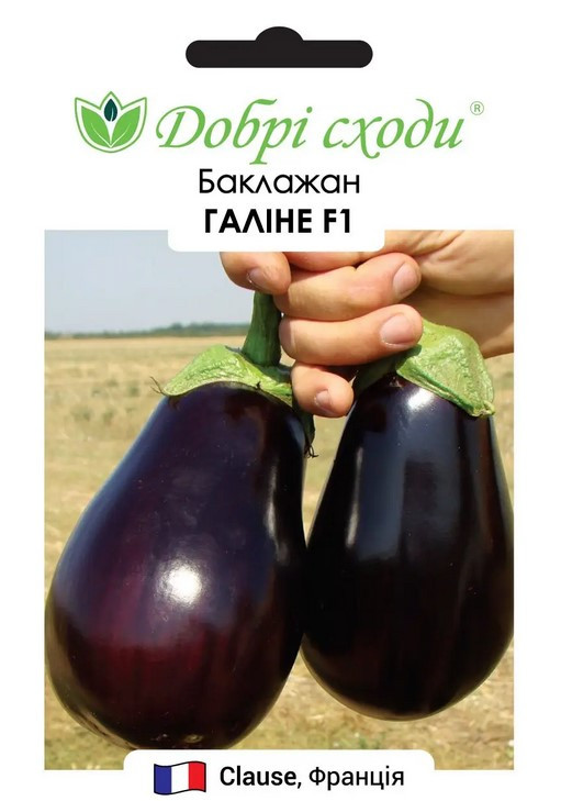 Баклажан Галіне F1, 10 шт.