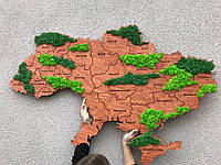 Деревянная карта Карта України 1,2*0,8м со стабилизированным мхом
